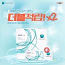 더블비젼