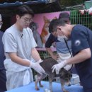 비비모텔 이미지