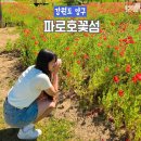서춘천농협 산지유통센터 | 강원도 양구 가볼만한곳 파로호꽃섬 주차장 여행코스 추천