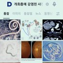 🦊고양이 기생충 위험 할까요? 출처: [단국의대 기생충학교실 서민]🌈주인 없는 고양이 관리개선 대책 국민 동의청원" 이미지