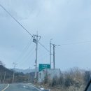 용산재 | 동생 2 : 복숭아 마을, 대황강 출렁다리, 보성강 자전거길, 용산재, 수다라 카페, 드라이브, 눈이 오네
