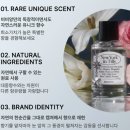 향-녹음의 계절 이미지