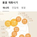 개화 이미지