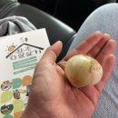 한지동경로당 이미지