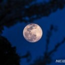 오늘 밤 가장 큰 '슈퍼문' 뜬다…달 보기 좋은 곳은? 이미지