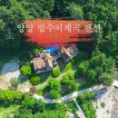 법수치계곡 펜션 꿈꾸는 숲 | 강원도 양양 법수치계곡 펜션 - 자연 속 완벽한 휴식