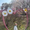 진달래어린이공원 | 부천 원미산 진달래동산 꽃구경 명소 아이와 가볼만한곳