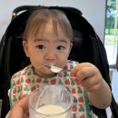 카페일로15