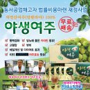 [2014.8.09 土, 토요생활나눔] 노래하는 노동자, 황영수 이미지