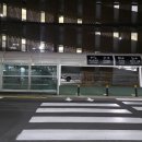 Just car service | 제주도 렌트카 추천 제주공항 롯데렌터카 G카 제주 한달살이 여행