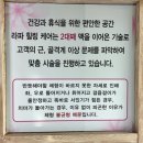 힐링케어 | 고양시척추치료 라파힐링케어 후기