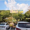 흥부네 | 가평 설악면 맛집 국물 진한 솥뚜껑닭볶음탕 흥부네 후기