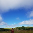 하늘구름목장 이미지