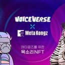 메타보이스