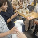 앵무세상 이미지