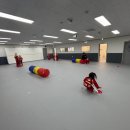 용인대 효 도장 이미지