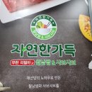 세븐일레븐 호계점 이미지