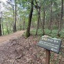 서봉산산림욕장 이미지