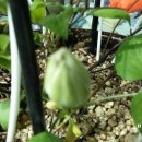 을지아파트 상가 이미지