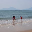 다대포해수욕장 Daum카페