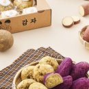 구황작물 이미지