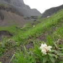 백두천지 이미지