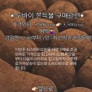 나지금순천