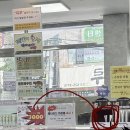구피염색방