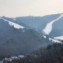 플렉스몰 이미지