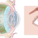 수피부과의원 이미지