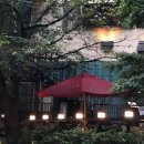 행정사법인 해사인 이미지