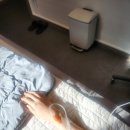 서대문연세이비인후과의원 | 편도 수술 부분절제 내돈내산 후기, 보험청구, 만족도