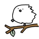 광수육회 이미지