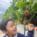 봄이네 농장 이미지