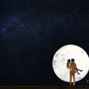 스튜디오카멜리아