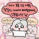 트윈스테이블