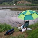 대림서.태안
