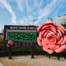 형산강 장미원 이미지