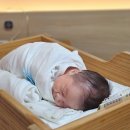 청율산후조리원 이미지