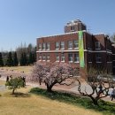 전남대학교 이미지