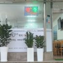 서귀동-46 네이버블로그