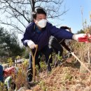 원적산공원 이미지