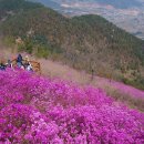 진달래약수터 이미지