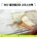 부산 광안리 수제 젤라또 맛집 젤라떼리아 사우스브룩 포장 후기