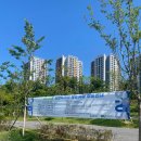 능동공원 | [동탄] 2025 화성 능동 물놀이터/능동공원 물놀이장 후기