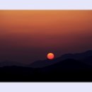 일출농원