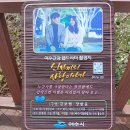 녹산등대가는길 | 8년만에 찾은 고향 &#34;거문도&#34;(중) - 서도리 &#34;녹산등대&#34;와 &#34;거문대교&#34;를 건너 누님을 만났다..