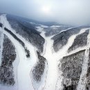 하이원PC 이미지