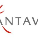 오토렉스 이미지