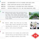 선정중학교 네이버블로그